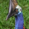 Uriel77