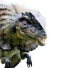 studyfern