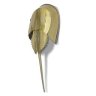 OmarReels