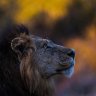 resinboy3