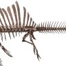 TessaLab14
