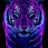Jules3D