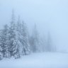 backboarder