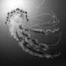 qubeled