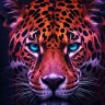 farid70