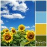 leo_pad12
