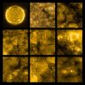UmaNell3