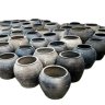 mossruler