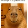 aylajot