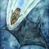 NightBay44