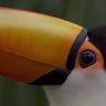 PerrinHut