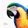 AlmaEntry