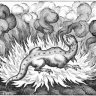 TheoShim4