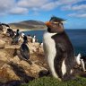JoelK