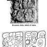 dicecase1