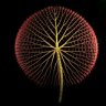 TheoSeed