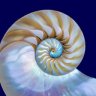 OrlaMere