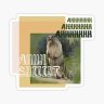 netplay33