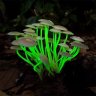 luca3am