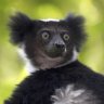 tankcorner