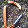 nicofer2