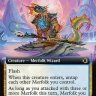pondwatch6