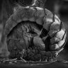 moonshift3