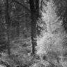 reelburn7