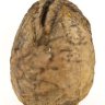 JonMarlow