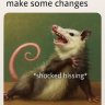 RafiLoop7