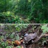 Ivo_286
