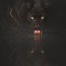 CatoReader