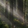 ArloIndex7