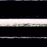 PinholeDay