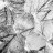 shedwire8