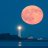 munro_17