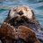 TessGrain
