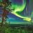 NellDrums