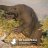 cablehat9