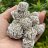 EliStump9