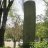 GritCasey