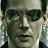 steve.n