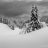 noahdial6