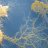 netplug47