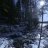 marten6
