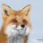 irfan_k