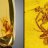 CeeJay503