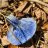 game-night