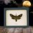 FarahLowString