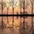 AriSpoke11